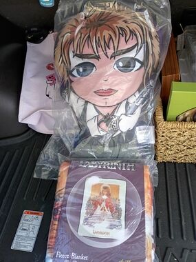 Labyrinth Pillow And Blanket Set